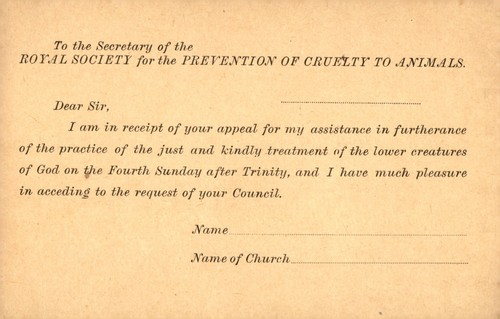 Rspca secretary postcard - postcard, eg